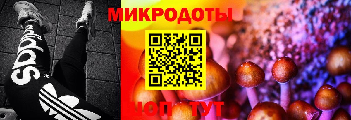 Шарыпово  Галлюциногенные грибы MAGIC MUSHROOMS  Вход с VPN 